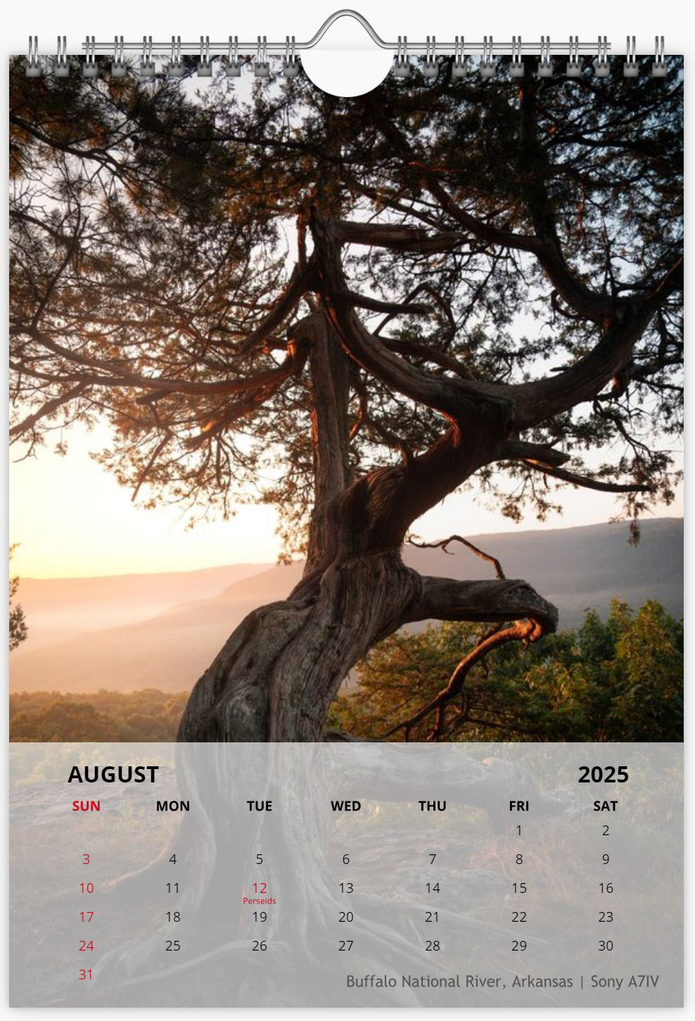 2025 Photography Calendar