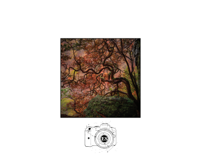 Erik Stinnett 2026 Photography Calendar